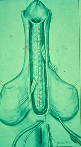 Segreteria — Malformazioni congenite